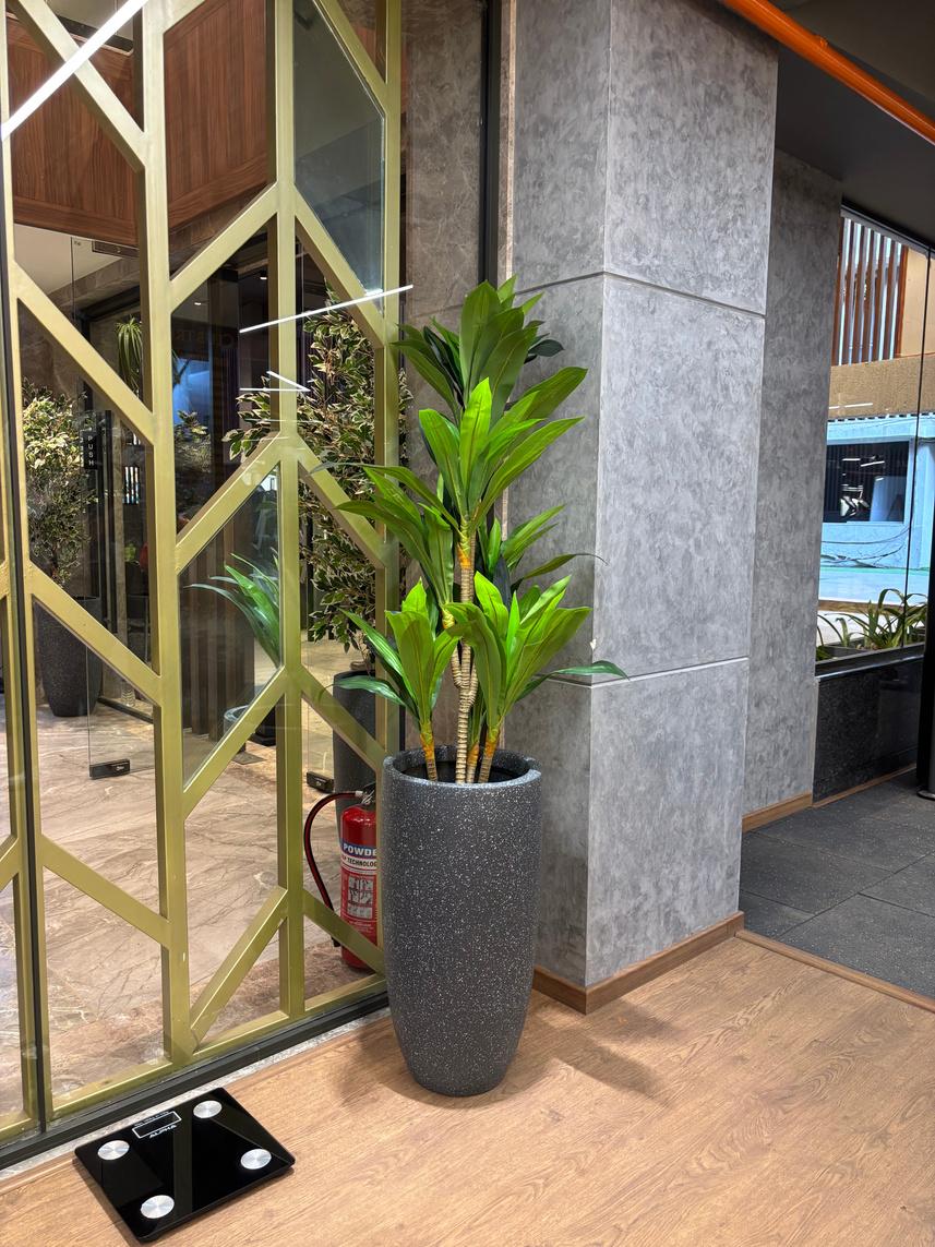 Ekta Tripolis, Goregaon West