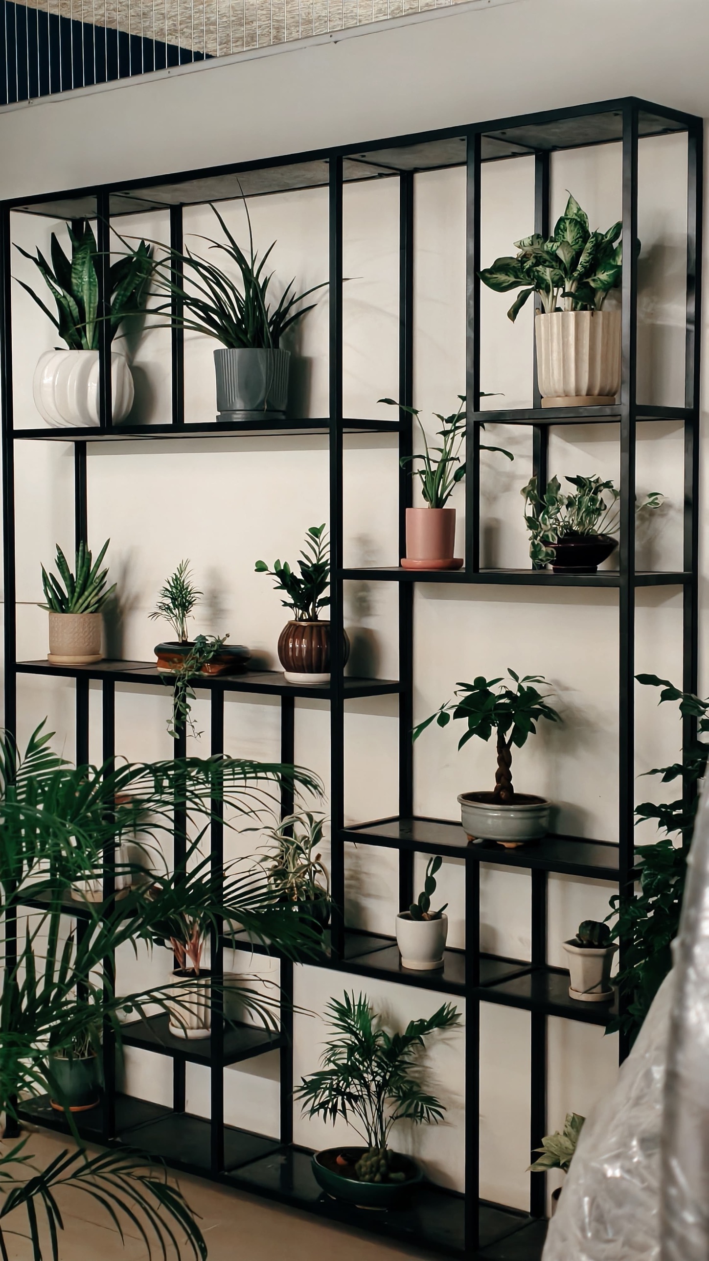 Table-top plant styling on a shelving unit at India Bulls Sky Forest, Prabhadevi